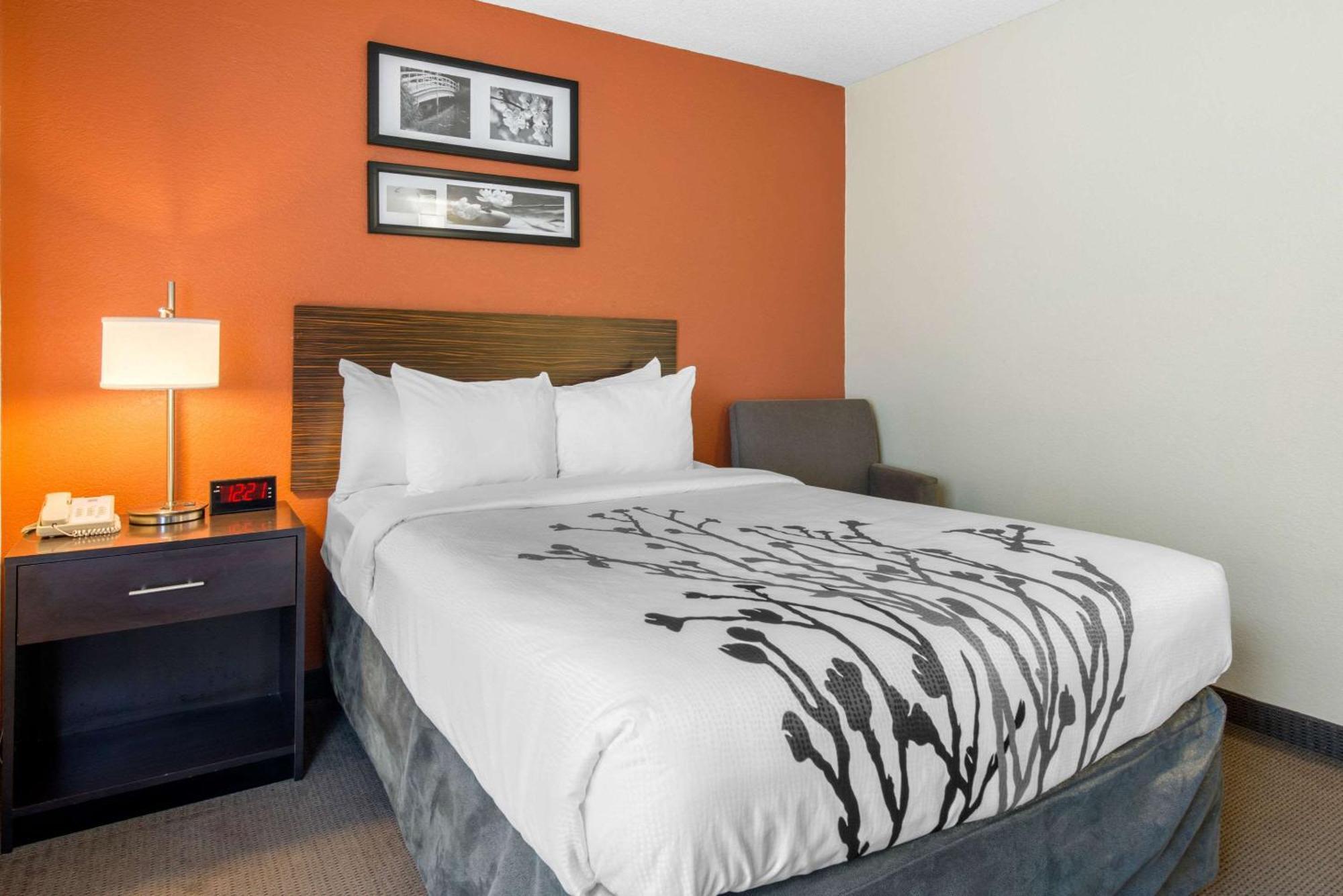 Sleep Inn Sarasota North Dış mekan fotoğraf