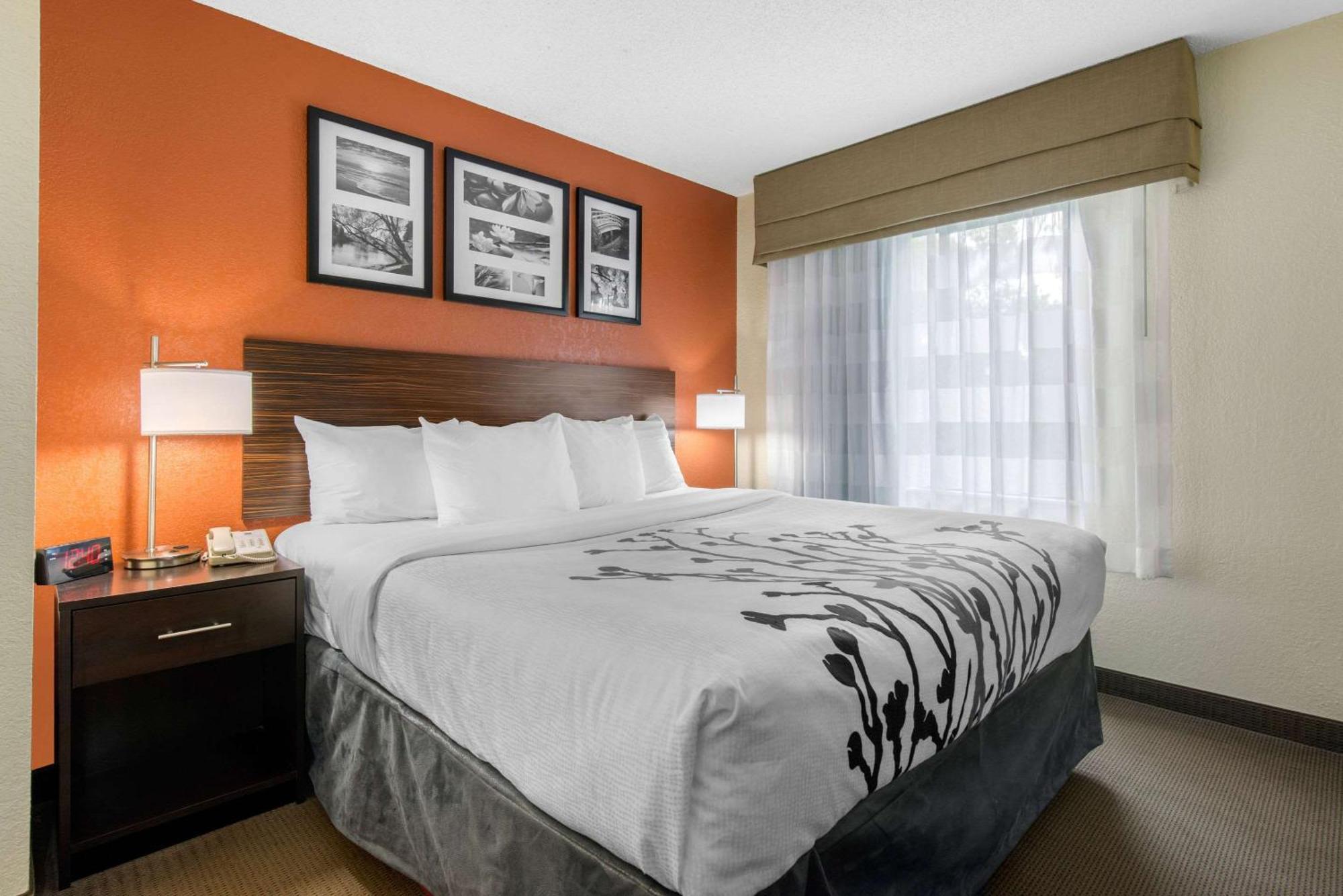 Sleep Inn Sarasota North Dış mekan fotoğraf
